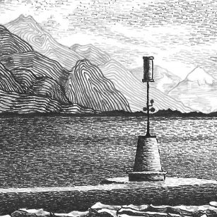 I need better project organisation in my company