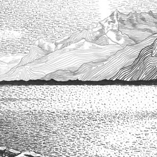 I need to develop project management competencies